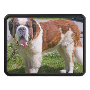 st bernard full hitch cover