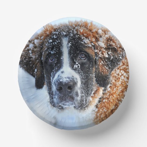 St Bernard in the Snow  Paper Bowls