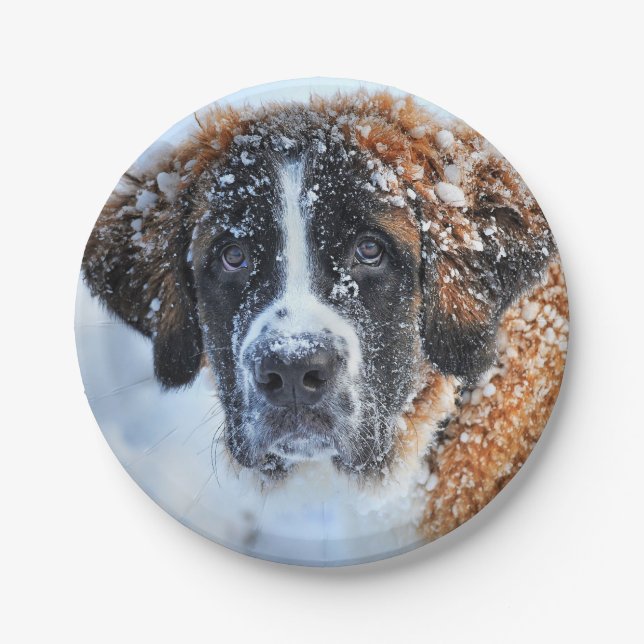 St Bernard in the Snow Paper Plates (Front)