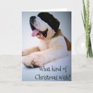 ST. BERNARD SENDS "HUGE" CHRISTMAS WISHES HOLIDAY CARD