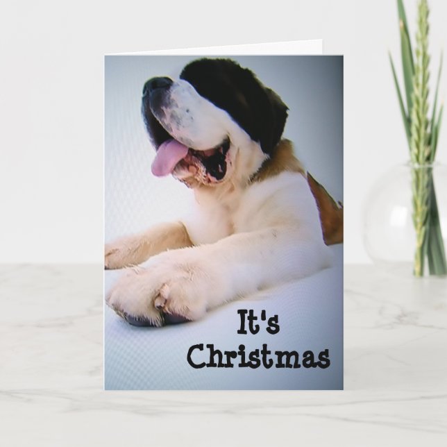 ST. BERNARD SENDS "HUGE" CHRISTMAS WISHES HOLIDAY CARD (Front)