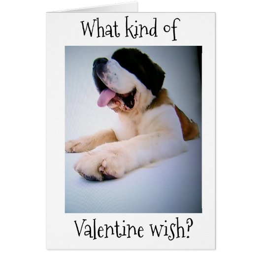 ST. BERNARD SENDS "HUGE" VALENTINE WISHES (Front)
