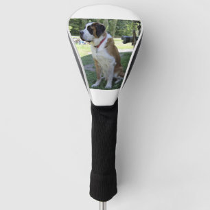 st bernard sitting 2 golf head cover