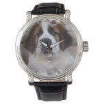 St Bernard Watch