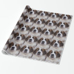 St Bernard Wrapping Paper