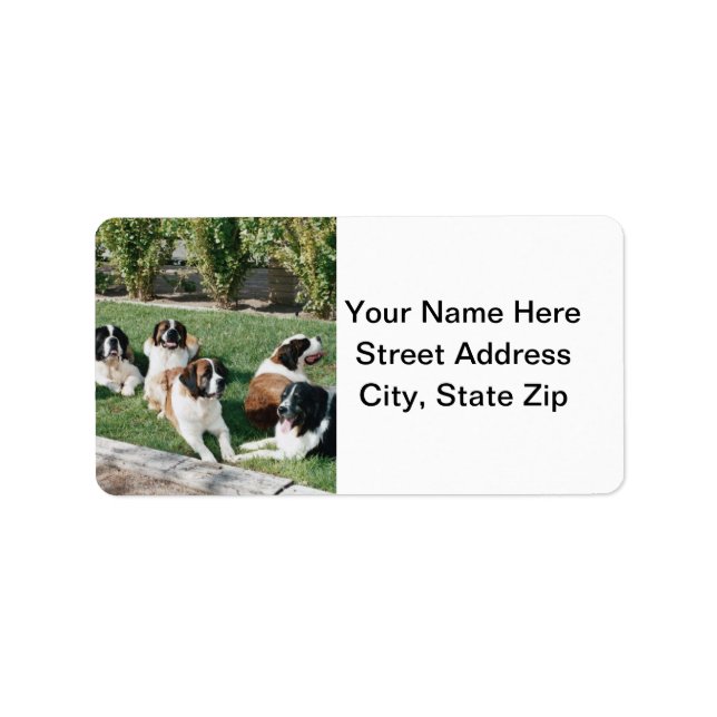 St. Bernards in the Yard Label (Front)