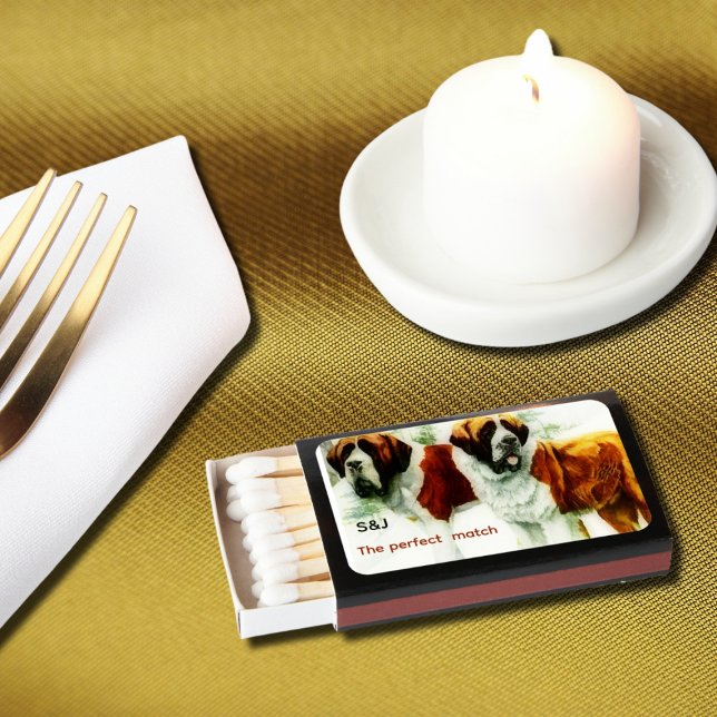  St Bernards  -  the  perfect  match  (Creator Uploaded)