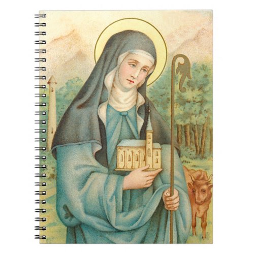 St Brigid of Ireland M 014 Notebook