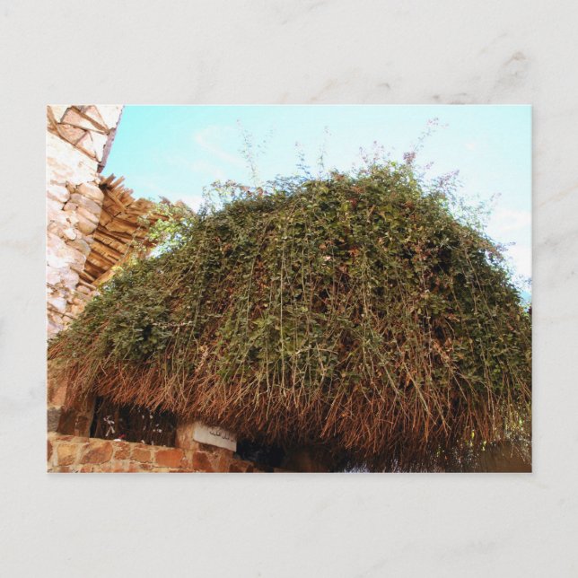 St. Catherine's Monastery, South Sinai, Egypt Postcard (Front)