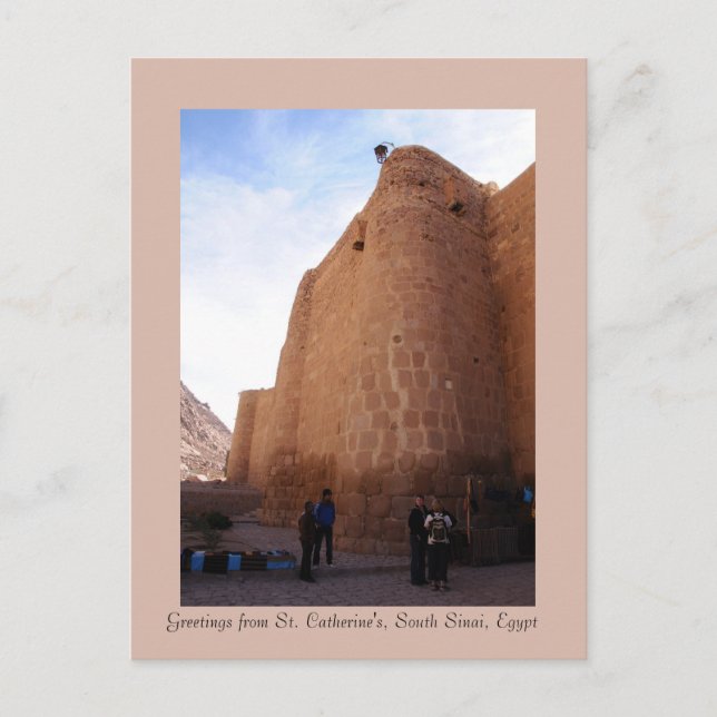 St. Catherine's Monastery, South Sinai, Egypt Postcard (Front)
