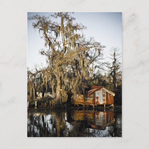 St Charles Parish Swamp Reflections Postcard