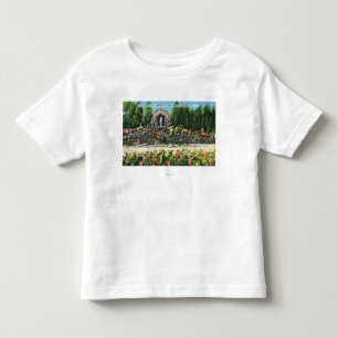St. Clement's College Grotto Toddler T-shirt
