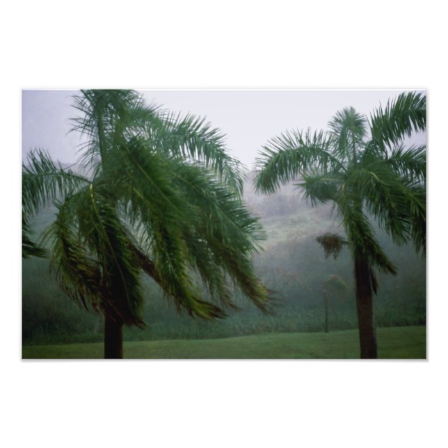 St. Croix Tempest Photo Print (Front)