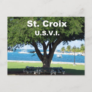 St. Croix U.S.V.I. Postcard