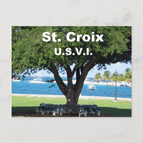 St Croix  USVI Postcard