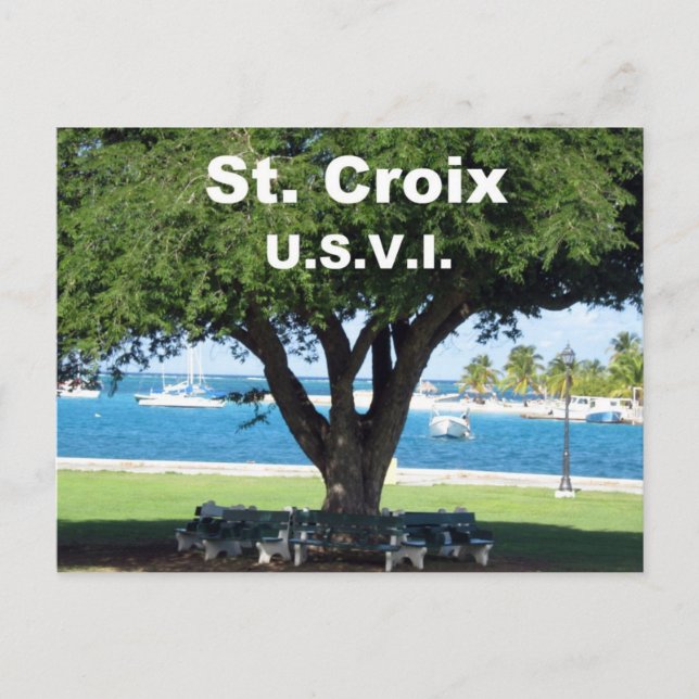 St. Croix  U.S.V.I. Postcard (Front)