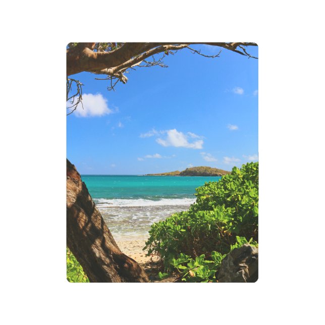 St. Croix, US Virgin Island Beach Scene Metal Print (Front)