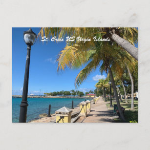 St. Croix US Virgin Islands Frederiksted Tropical  Postcard