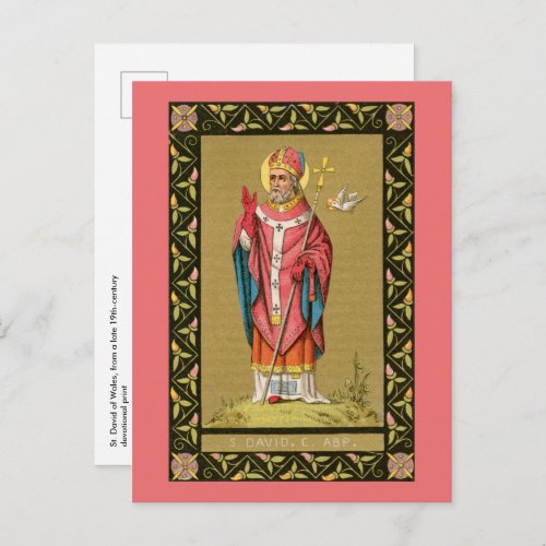 St David of Wales P 001 Postcard