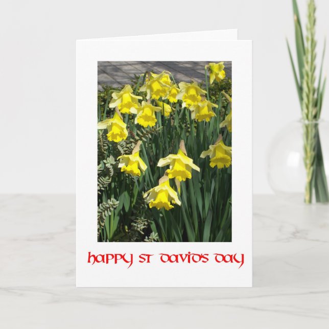 St David's Day Daffodils Greeting Card (Front)