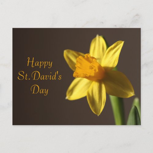 StDavids Day Postcard