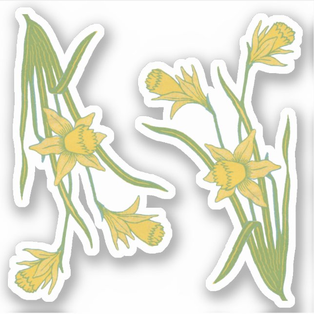 St. David's or St. Piran's Day Daffodils (fL) - Sticker (Front)