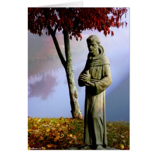 St Francis Cards (Front)