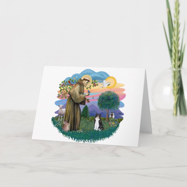 St Francis (ff) - Black and white cat Card (Front)