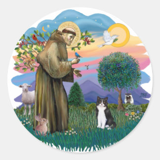 St Francis (ff) - Black and white cat Classic Round Sticker