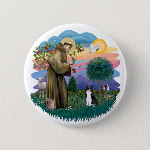 St Francis ff _ Black and white cat Pinback Button