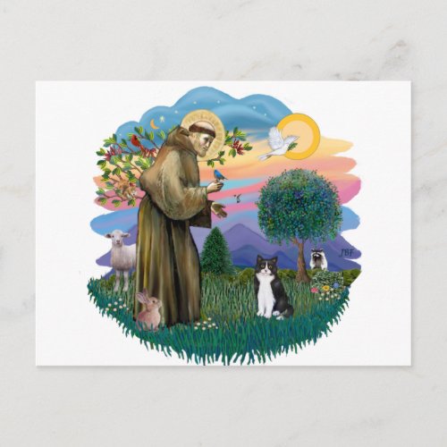 St Francis ff _ Black and white cat Postcard