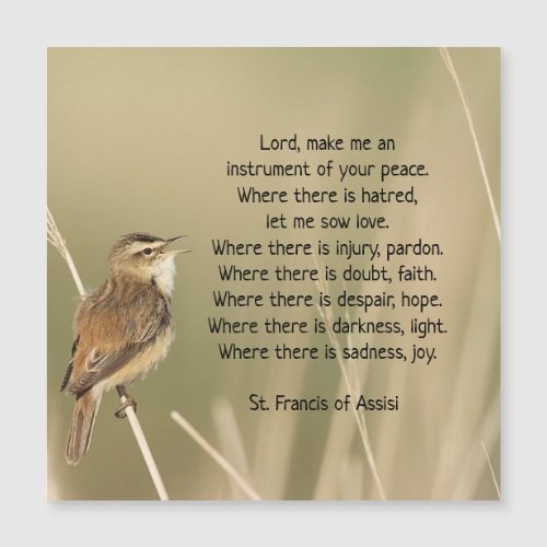 St Francis of Assisi Prayer Bird Inspirational
