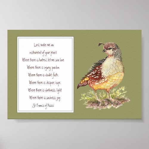 St Francis of Assisi Prayer California Quail Bird Poster