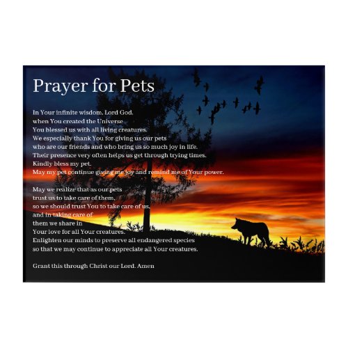 St Francis of Assisi Prayer for Pets _ Dog Acrylic Print