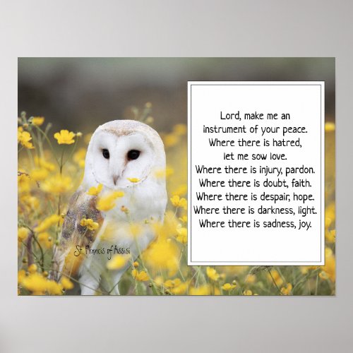 St Francis of Assisi Prayer with Barn Owl  Poster