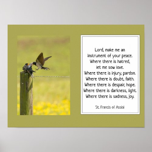 St Francis of Assisi Prayer with Bird Family Poster