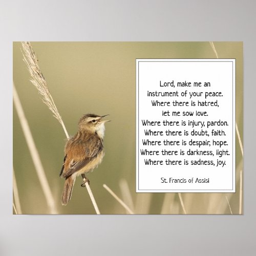 St Francis of Assisi Prayer with Bird  Poster