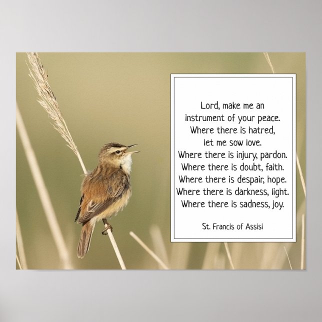 St. Francis of Assisi Prayer with Bird  Poster (Front)