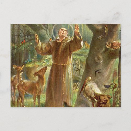St Francis of Assisi preaching to animals Postcard