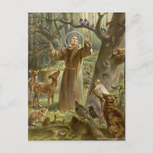 St Francis of Assisi Preaching to the Animals Postcard