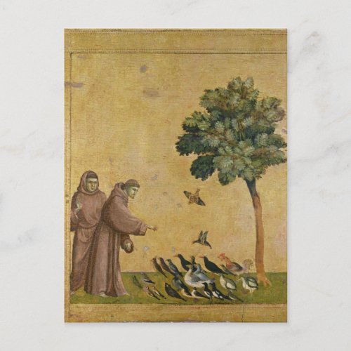 St Francis of Assisi preaching to the birds Postcard