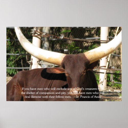 St Francis of Assisi Quote about Animal Rights Poster