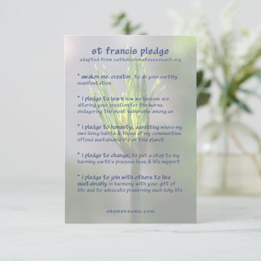 St Francis Pledge / Earth Charter card (Standing Front)