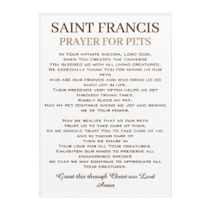 St. Francis Prayer for Pets Acrylic Print