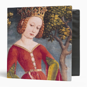 St. George and the Dragon Binder