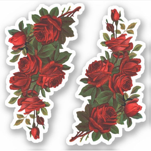 St. George's Day Roses (fL) Sticker (Front)