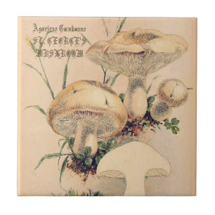 ST. GEORGE'S MUSHROOM CERAMIC TILE