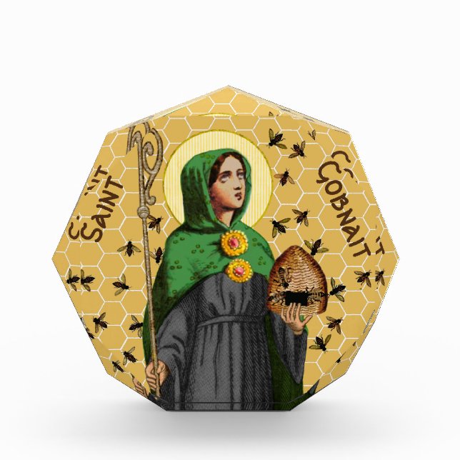 St. Gobnait of Ballyvourney (SAE 003) Photo Block (Front)