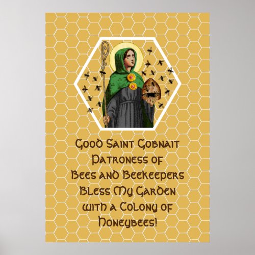 St Gobnait of Ballyvourney SAE 003 Poster