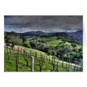 St. Helena, California Vineyard (Front Horizontal)